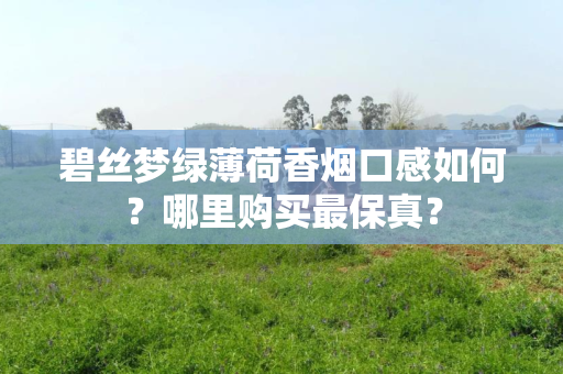 碧丝梦绿薄荷香烟口感如何？哪里购买最保真？